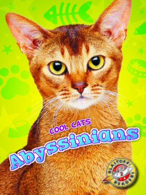 cover image of Abyssinians
